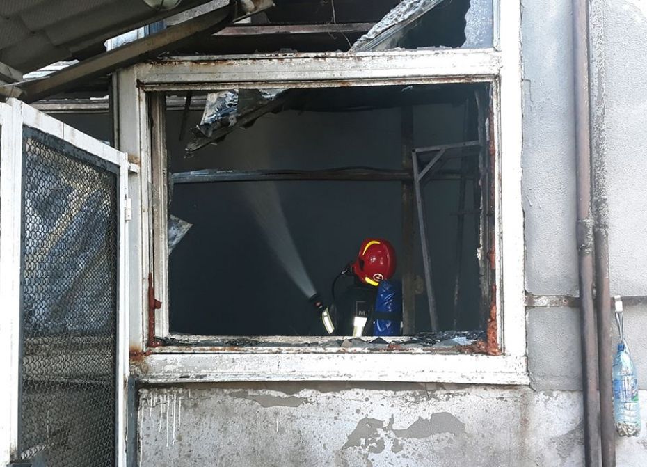 56252801_1313248808813333_1965319645296590848_n