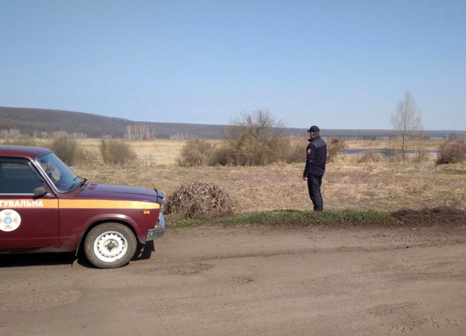 56416929_1312453002226247_3836093453951827968_n