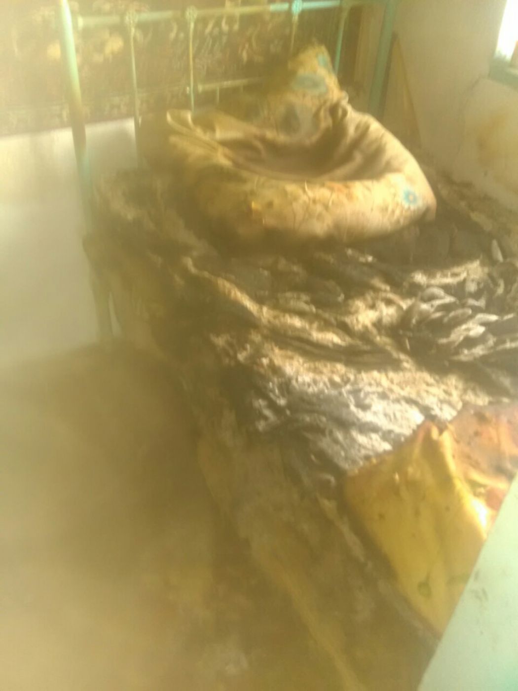 IMG-bd56e579487dc9086d0250e4ad040ad4-V