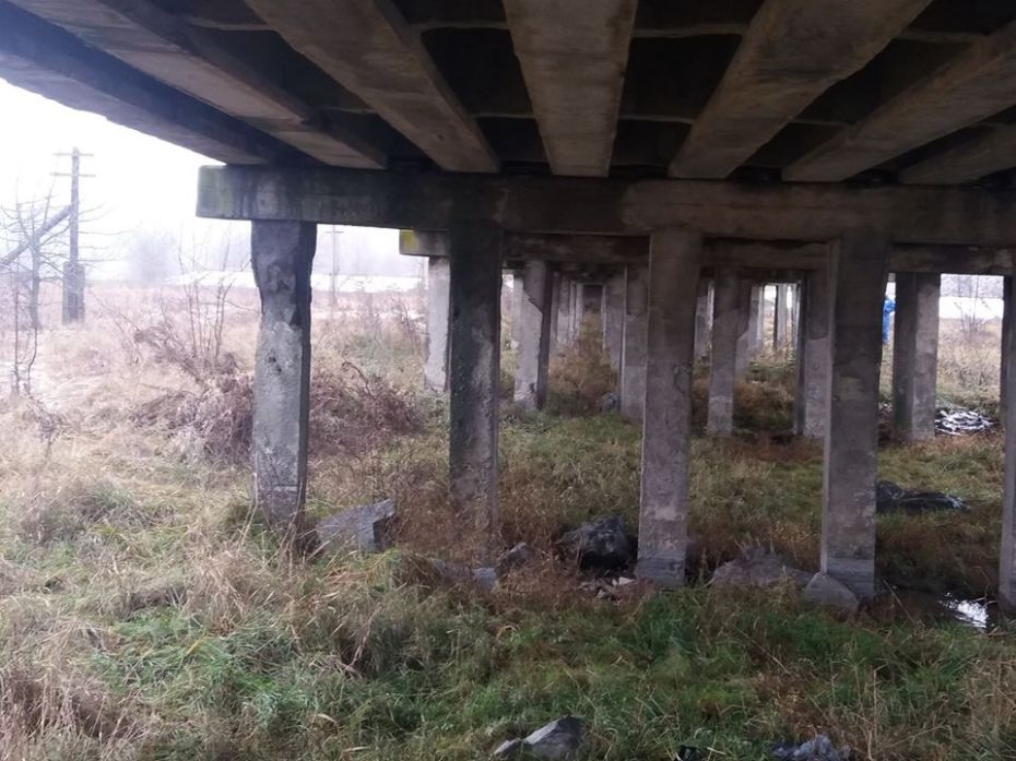 56498706_368166927119382_3883891758441955328_n