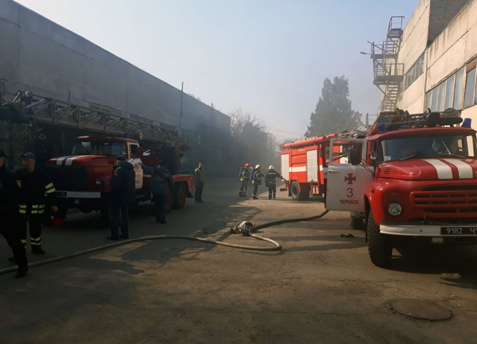 56601072_1313248685480012_1160868809012150272_n