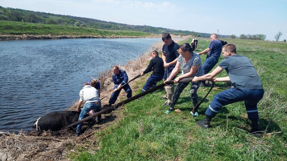 IMG_20190427_120917_0