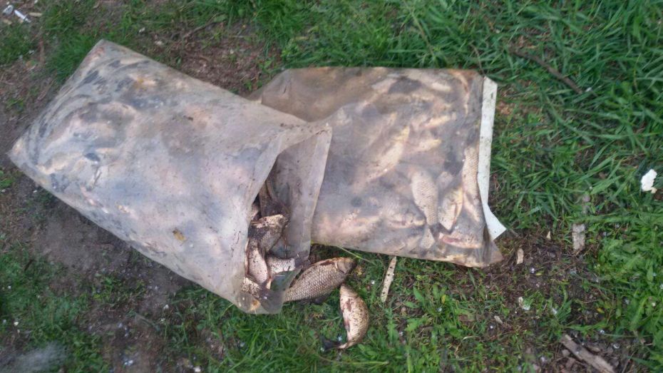 photo_2019-04-25_09-49-07