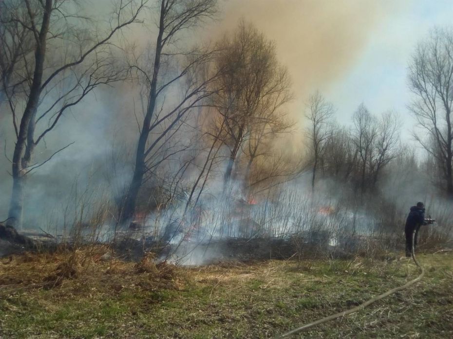 IMG-db579a41e26d679392436f9c8853b762-V