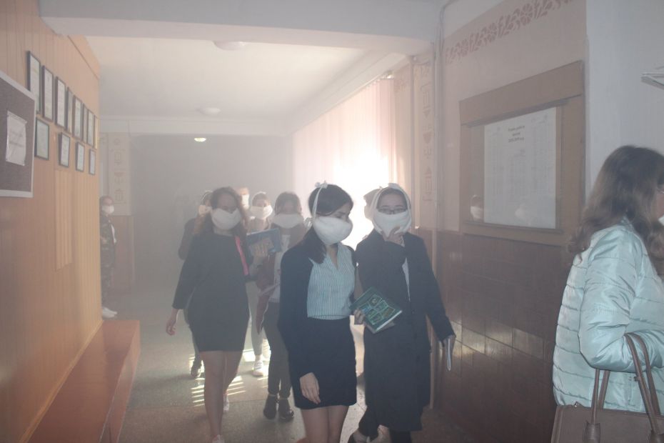 56608795_1498166130317796_45632932303339520_o