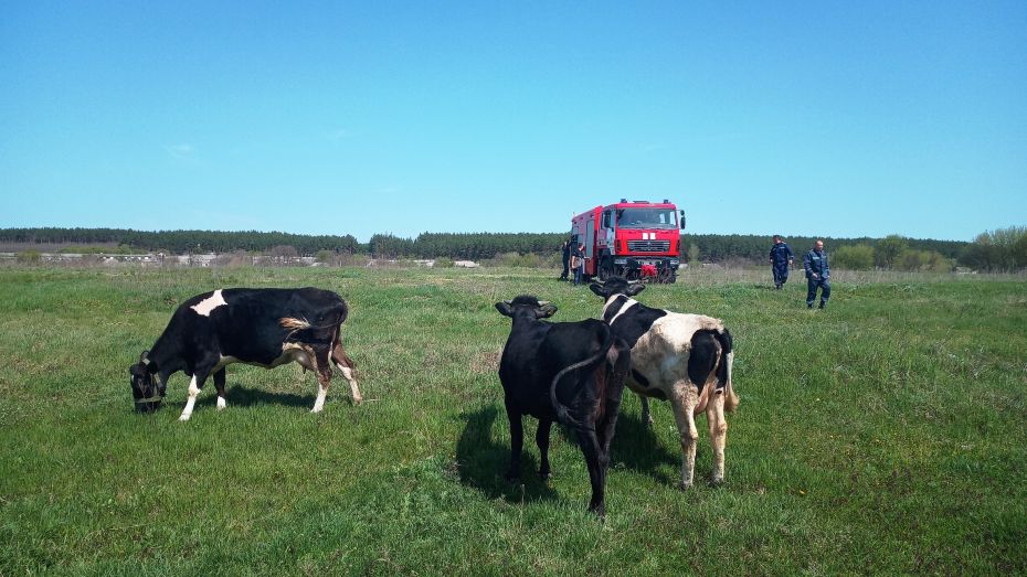 IMG_20190427_120448_4