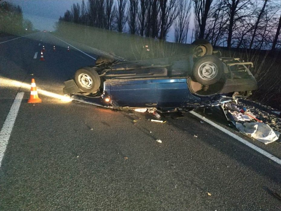 56402107_782072485498863_739472873063710720_o