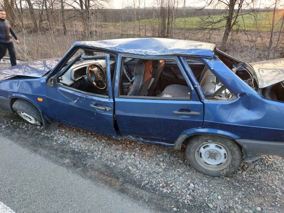 55826202_782072482165530_2411073341508026368_o