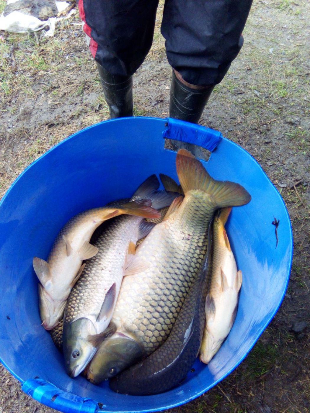 photo_2019-04-12_12-05-36