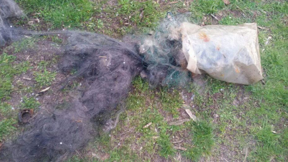 photo_2019-04-25_09-53-25