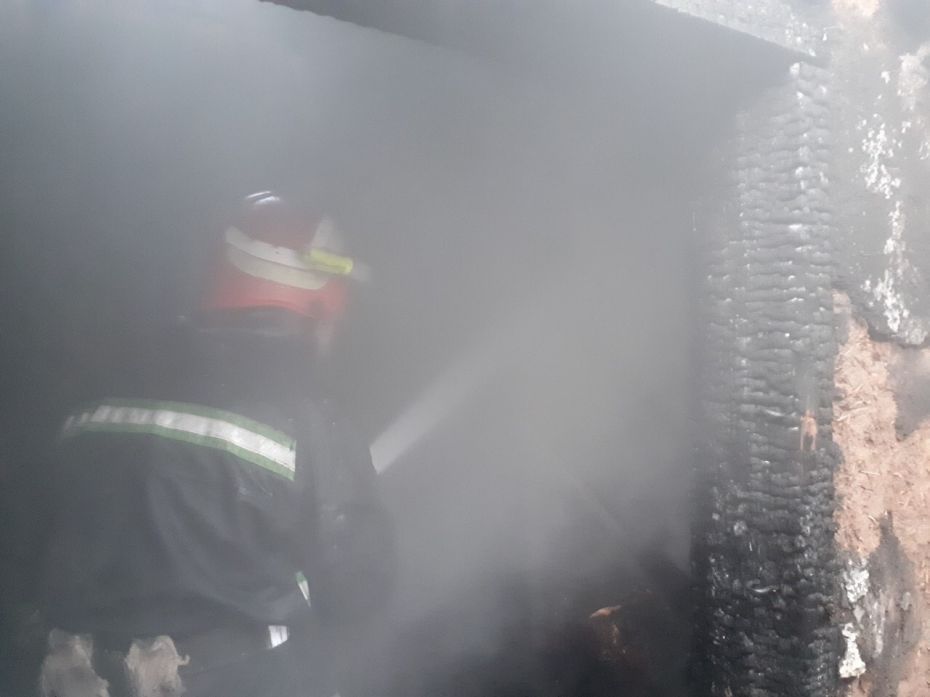 IMG-cbd95321b224837bef55664b17bcc2f5-V