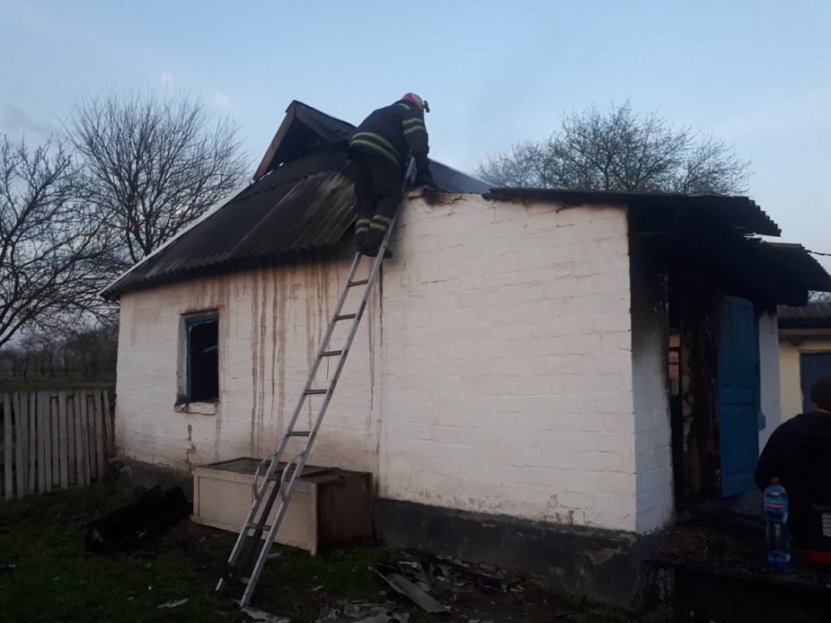 IMG-3febf6a7e83e9d2ddf73ca78c8ddbd48-V