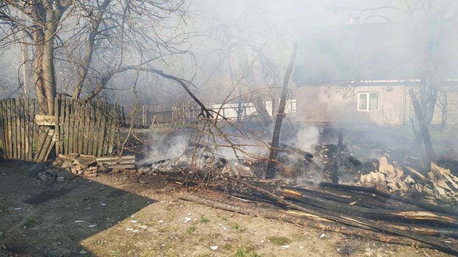 56462445_805160776520436_4726280650737319936_o