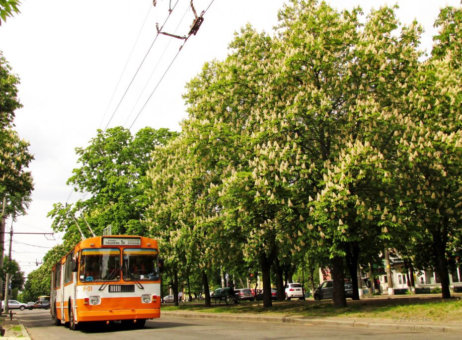 55924134_863989407280315_8901471741327441920_o