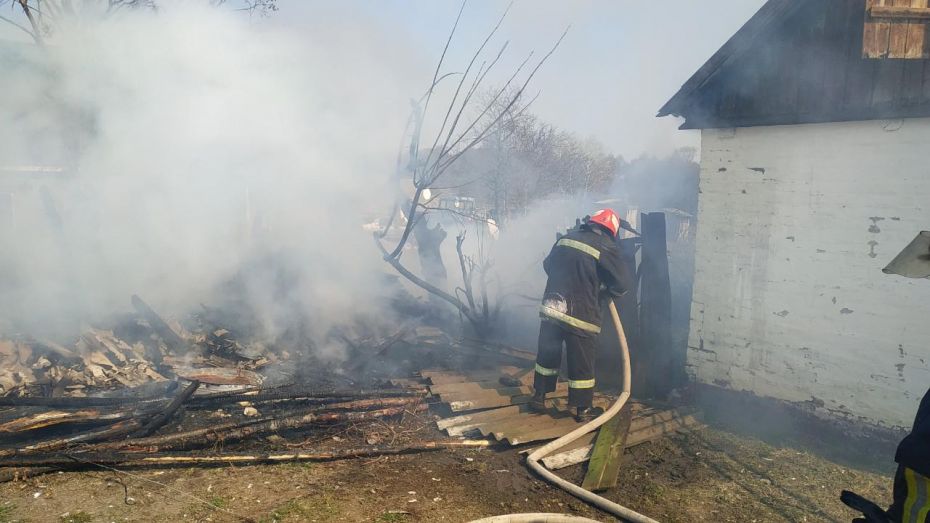 56603119_805160693187111_9147687068057468928_o