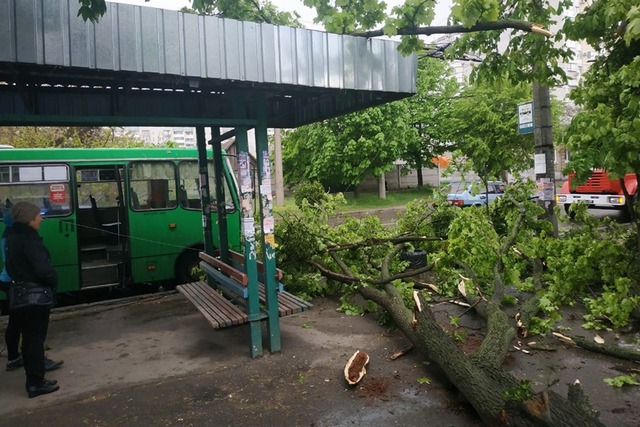 59490454_1332290920242455_2779528789011464192_n