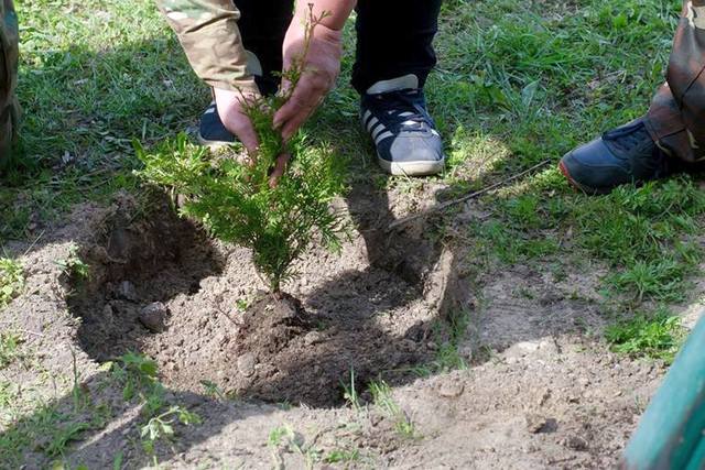 58749379_2390451234338907_1099372608274563072_n