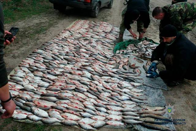 57328116_2148392465238818_7074255558252953600_n