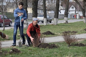 567304a5a9d8d1966145ed0db09e4e6d