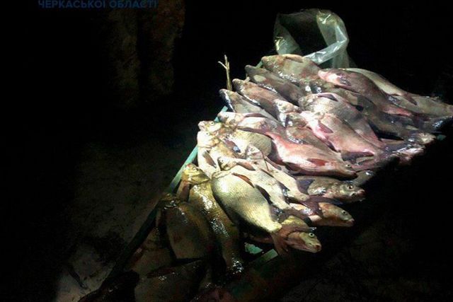 58961762_2169595079785223_8780940618105880576_n