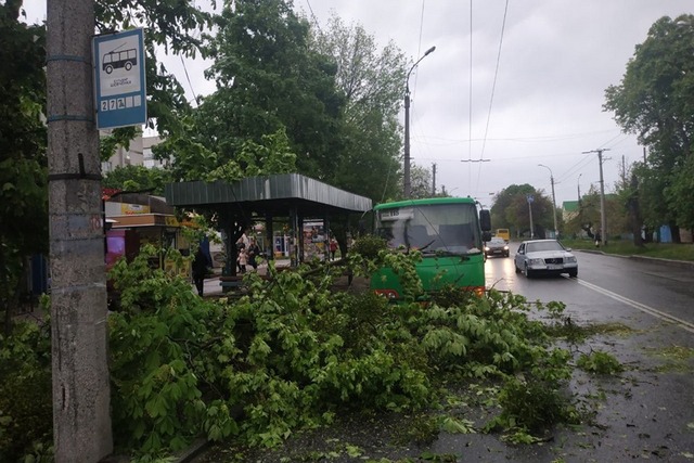 59295552_1332290893575791_1228907121114873856_n