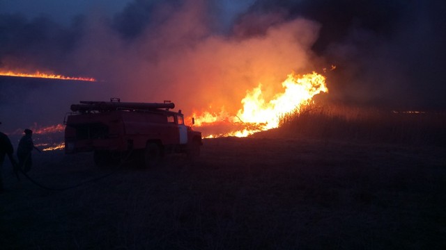 IMG-239758ed7960510598fae3ccdfd6c4ff-V