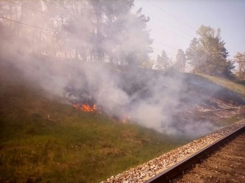 58376818_1509053585895717_2237368006311149568_n-500x375