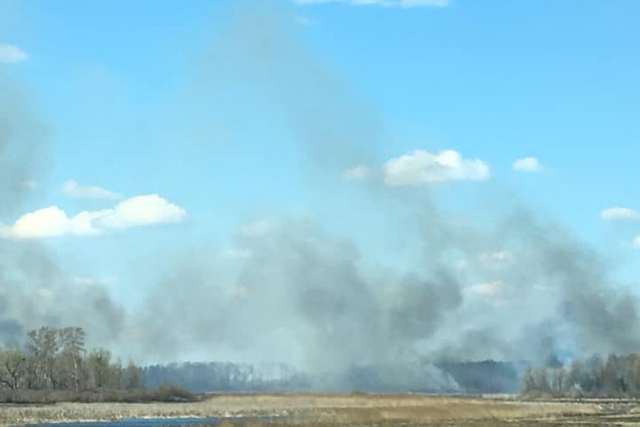 55945088_2180280235372576_8756097629617651712_n