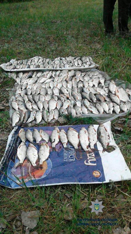 59565714_2175315045879893_3424342283678384128_n