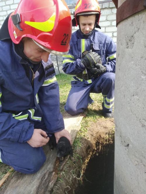 57360259_1230607257093743_2422357590689185792_n