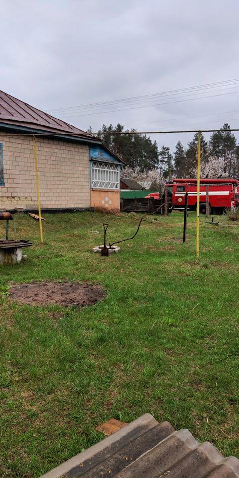 57485805_1503525579781851_187974320360783872_n