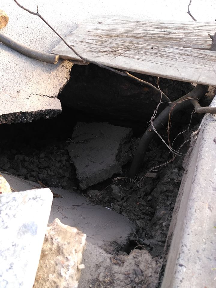 56749071_565760760585194_826506369522728960_n