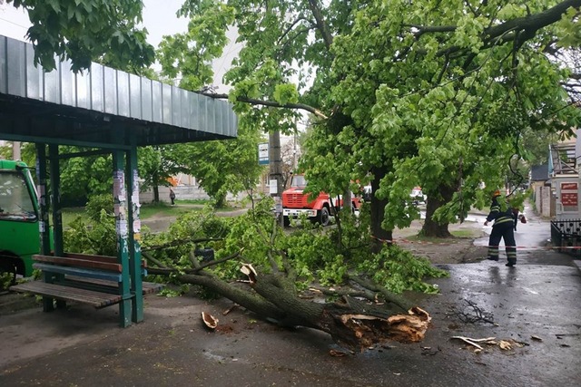 58737333_1332290906909123_4174433836316229632_n