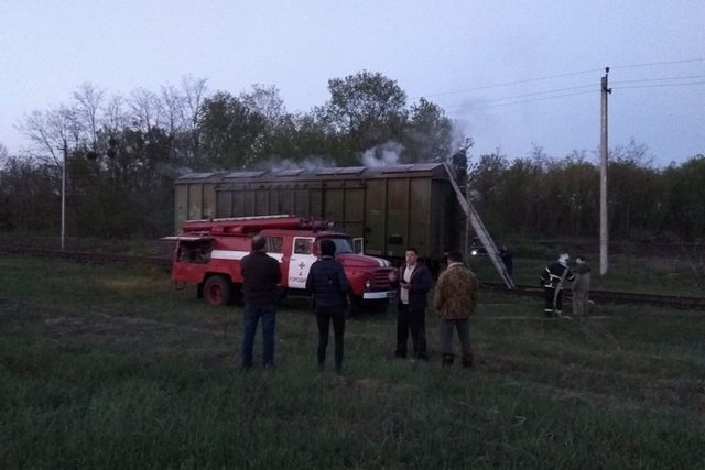 58733097_2206487696054526_9187227967208554496_n