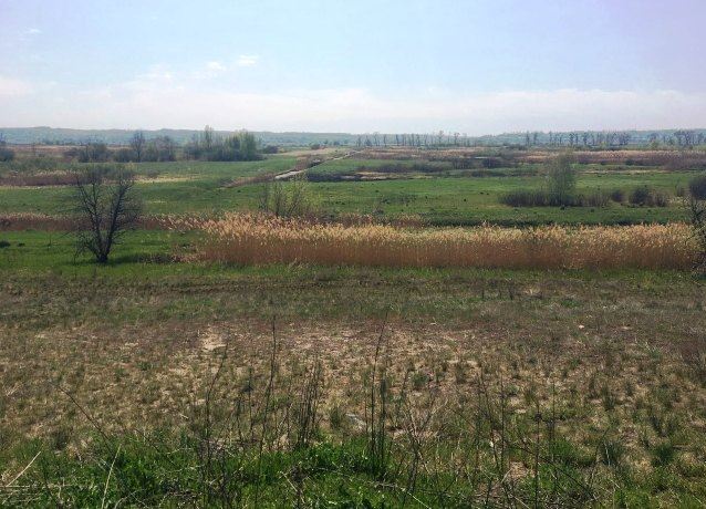 58543342_2206050926098203_7344413751405182976_n