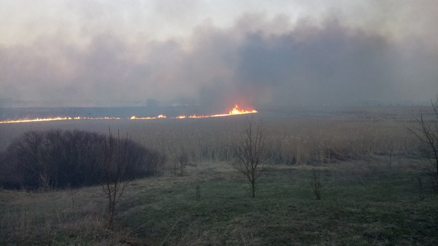 IMG-6b210ddcc510294c48533e9554aeb5e3-V