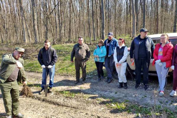 56848163_408611253287646_418482840020189184_o