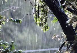 58978302_2250868211893757_4226473652939390976_n