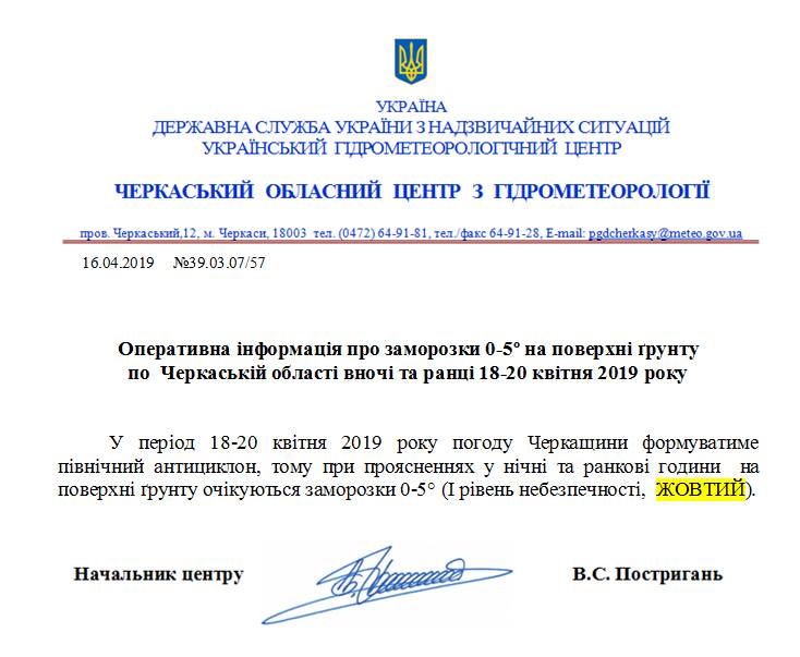 57484853_2172201299541146_7396407710662524928_n