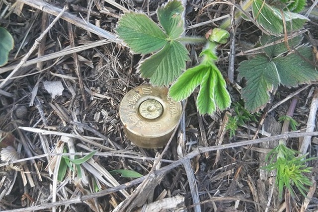 56675186_347277632661256_3398929499058864128_n