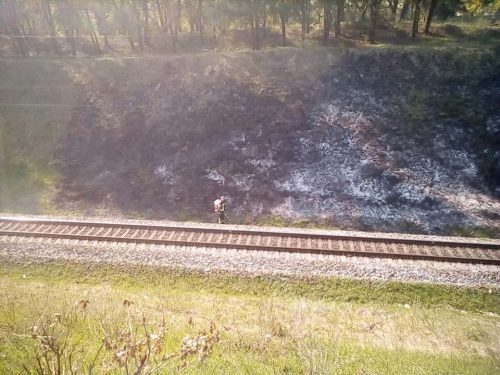 58462991_1509053589229050_7962122566460506112_n-500x375