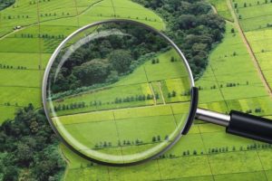 інспекція-816x466