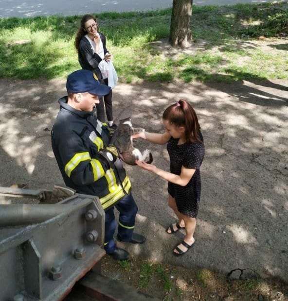 95683008_2958332090870079_2849683248680796160_n