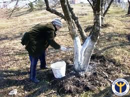 На Смілянщині фото