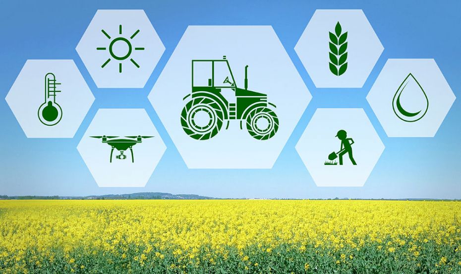 Початок весняно-польових робіт пробуджує ринок праці Маньківщини