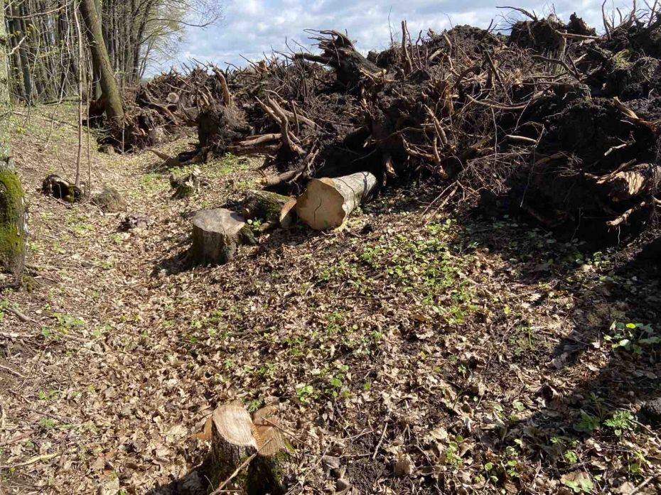 Монастирище1