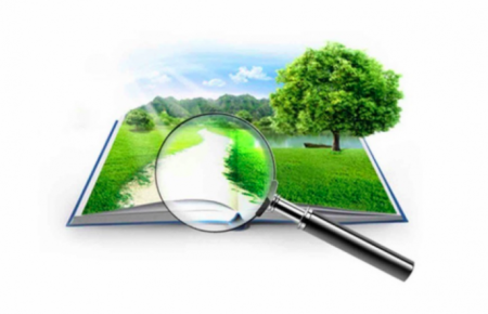 изображение_2021-04-08_170249-e1617890578815