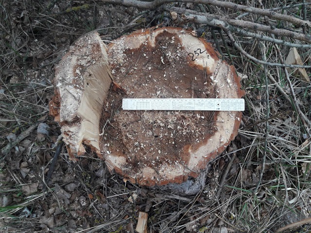 IMG_20210415_145047_770