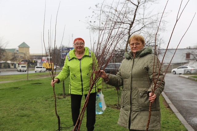 167464922_893359867906515_1561612350165782322_n