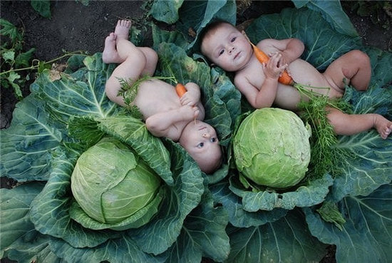 177935818_1614619568747824_4420574751827410514_n